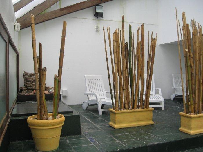 Club Sol Del Este Aparthotel Punta del Este Exterior photo
